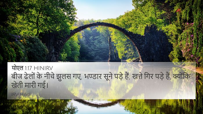 योएल 1:17 HINIRV Bible Verse Image