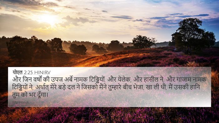 योएल 2:25 HINIRV Bible Verse Image