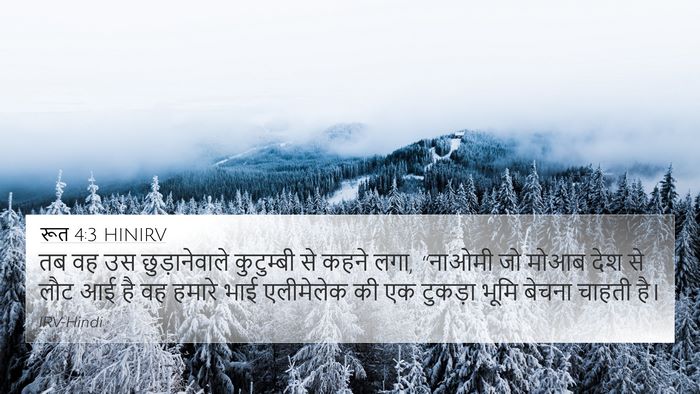 रूत 4:3 HINIRV 4K Wallpaper - तब वह उस - 4K Wallpaper Bible Verse