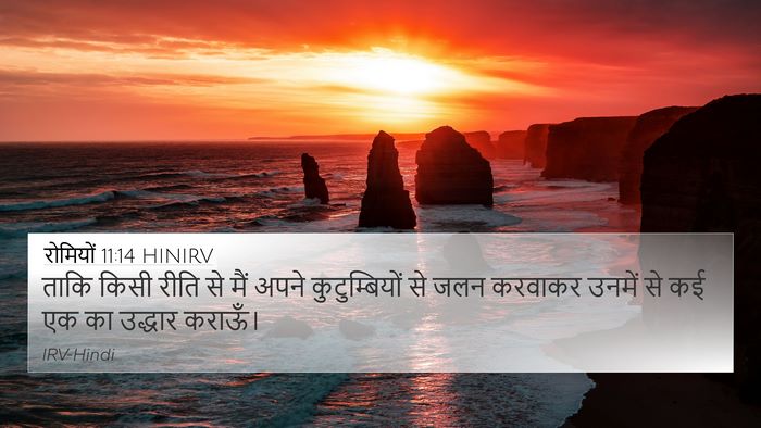 रोमियों 11:14 HINIRV Bible Verse Image