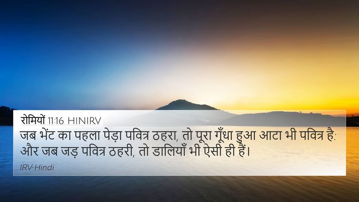 रोमियों 11:16 HINIRV Bible Verse Image