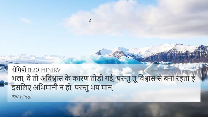 रोमियों 11:20 HINIRV Bible Verse Image