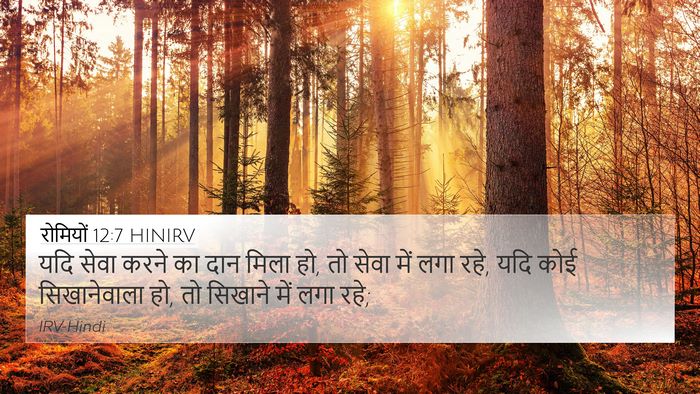 रोमियों 12:7 HINIRV Bible Verse Image