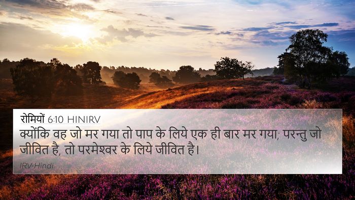 रोमियों 6:10 HINIRV Bible Verse Image