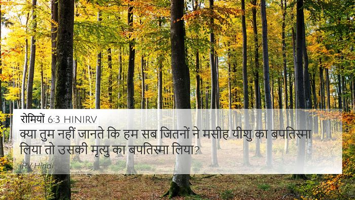 रोमियों 6:3 HINIRV Bible Verse Image