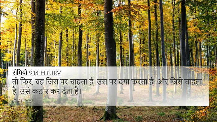 रोमियों 9:18 HINIRV Bible Verse Image