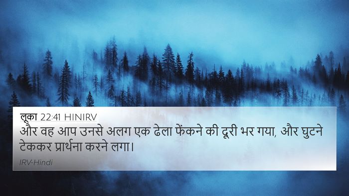 लूका 22:41 HINIRV Bible Verse Image