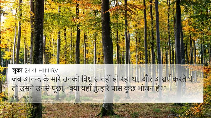 लूका 24:41 HINIRV Bible Verse Image