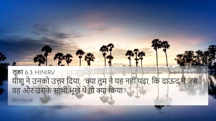लूका 6:3 HINIRV Bible Verse Image