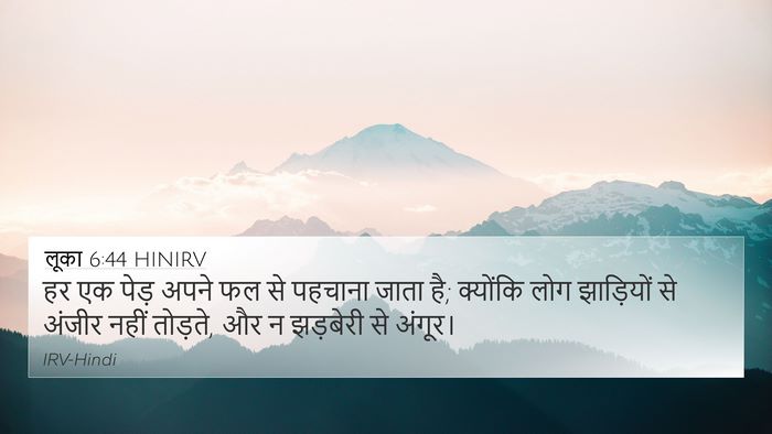 लूका 6:44 HINIRV Bible Verse Image