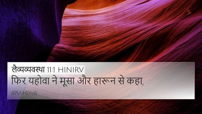 लैव्यव्यवस्था 11:1 HINIRV Bible Verse Image
