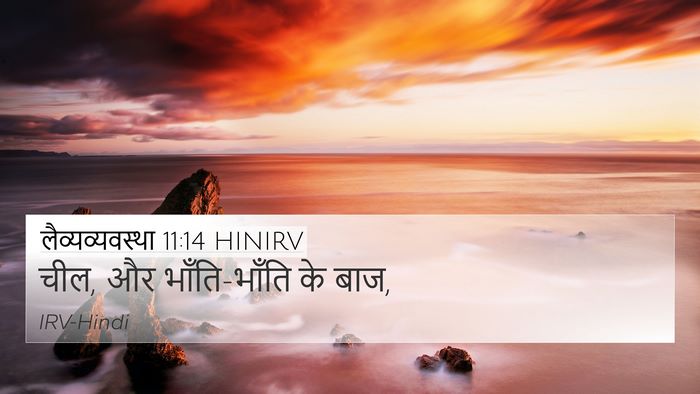 लैव्यव्यवस्था 11:14 HINIRV 4K Wallpaper - चील, और भाँति-भाँति - 4K Wallpaper Bible Verse