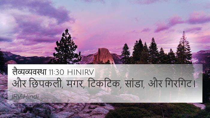 लैव्यव्यवस्था 11:30 HINIRV 4K Wallpaper - और छिपकली, मगर, - 4K Wallpaper Bible Verse