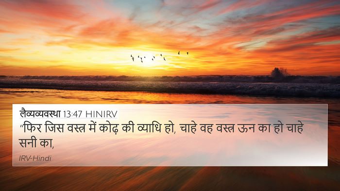 लैव्यव्यवस्था 13:47 HINIRV 4K Wallpaper - “फिर जिस वस्त्र - 4K Wallpaper Bible Verse