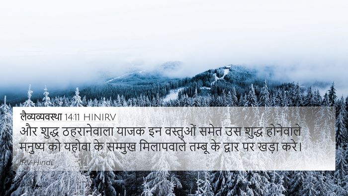 लैव्यव्यवस्था 14:11 HINIRV 4K Wallpaper - और शुद्ध - 4K Wallpaper Bible Verse