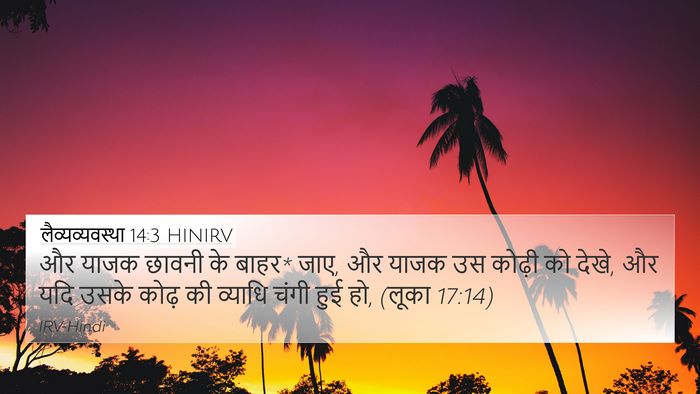 लैव्यव्यवस्था 14:3 HINIRV Bible Verse Image