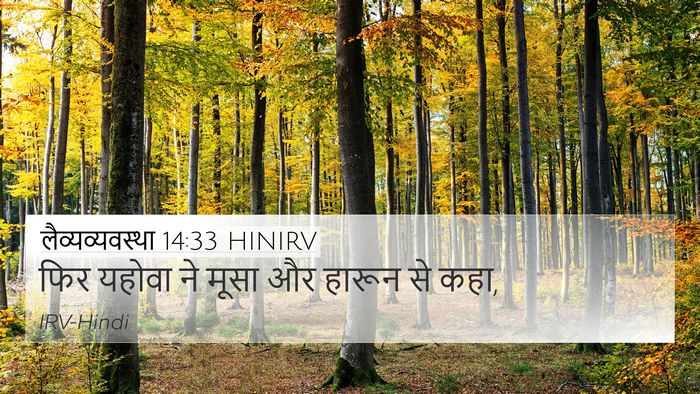 लैव्यव्यवस्था 14:33 HINIRV 4K Wallpaper - फिर यहोवा ने मूसा - 4K Wallpaper Bible Verse