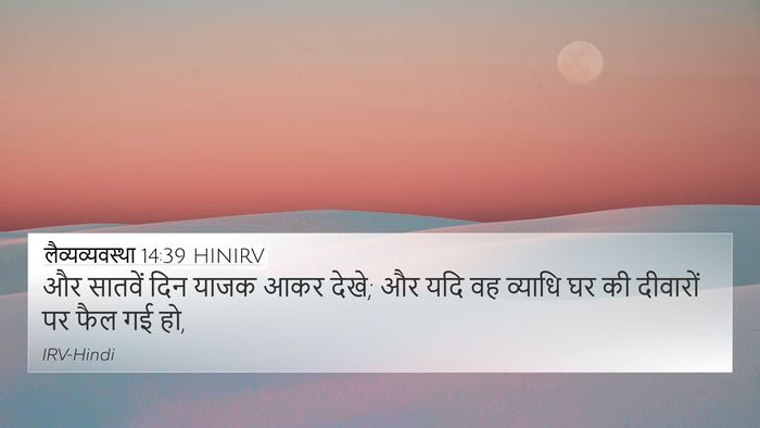 लैव्यव्यवस्था 14:39 HINIRV 4K Wallpaper - और सातवें दिन याजक - 4K Wallpaper Bible Verse