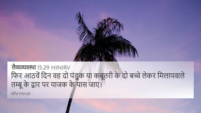 लैव्यव्यवस्था 15:29 HINIRV Bible Verse Image