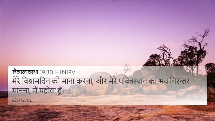 लैव्यव्यवस्था 19:30 HINIRV Bible Verse Image