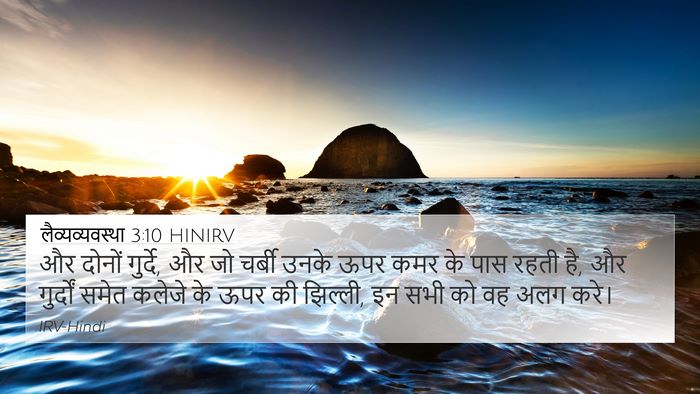 लैव्यव्यवस्था 3:10 HINIRV Bible Verse Image