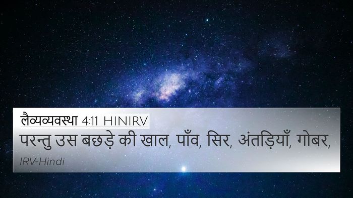 लैव्यव्यवस्था 4:11 HINIRV 4K Wallpaper - परन्तु उस बछड़े की - 4K Wallpaper Bible Verse