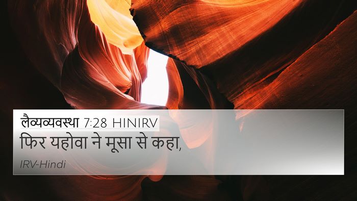 लैव्यव्यवस्था 7:28 HINIRV 4K Wallpaper - फिर यहोवा ने मूसा - 4K Wallpaper Bible Verse
