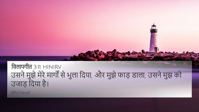 विलापगीत 3:11 HINIRV Bible Verse Image