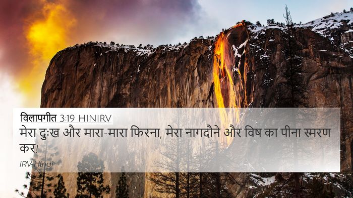 विलापगीत 3:19 HINIRV Bible Verse Image