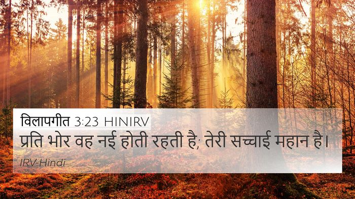 विलापगीत 3:23 HINIRV Bible Verse Image