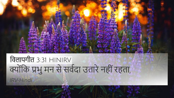विलापगीत 3:31 HINIRV Bible Verse Image