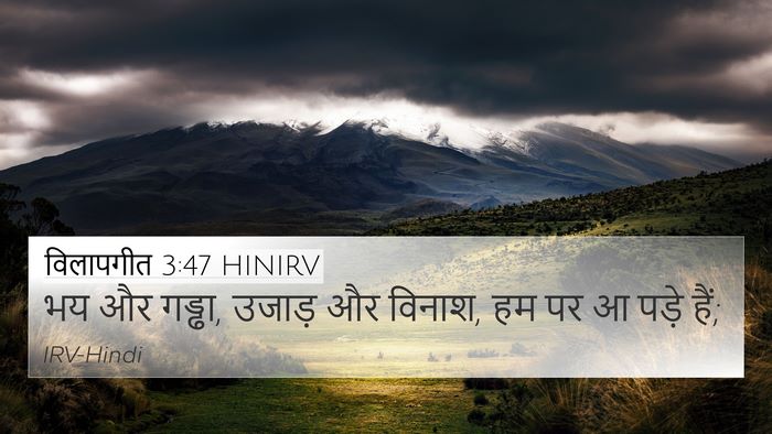 विलापगीत 3:47 HINIRV Bible Verse Image