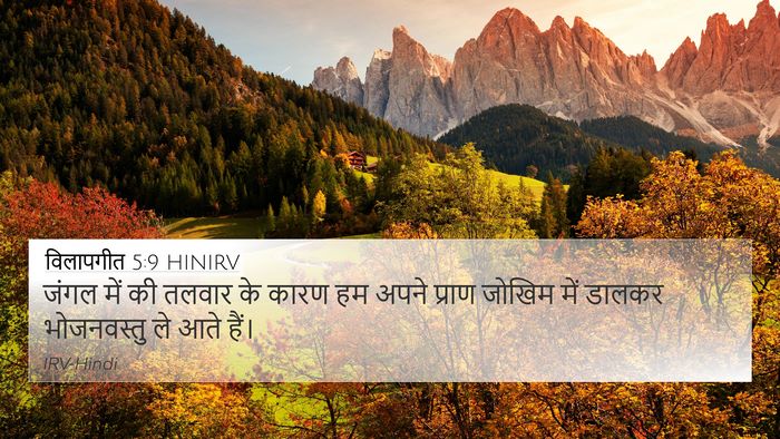 विलापगीत 5:9 HINIRV Bible Verse Image