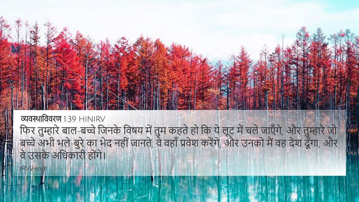 व्यवस्थाविवरण 1:39 HINIRV Bible Verse Image