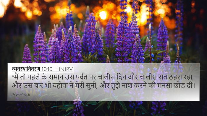 व्यवस्थाविवरण 10:10 HINIRV Bible Verse Image