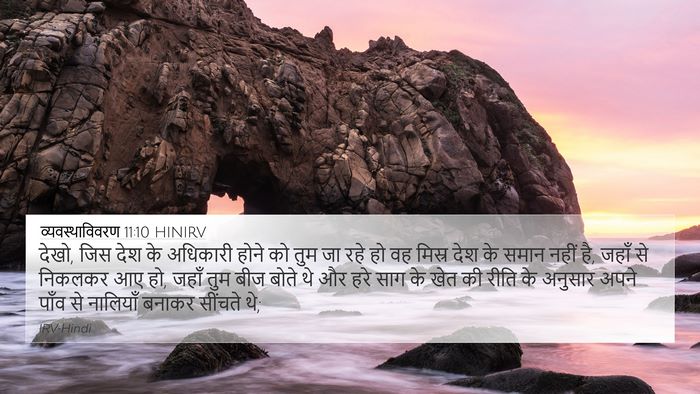 व्यवस्थाविवरण 11:10 HINIRV Bible Verse Image