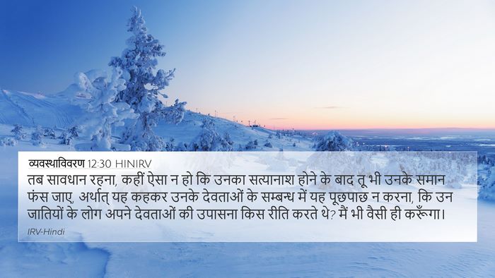 व्यवस्थाविवरण 12:30 HINIRV Bible Verse Image