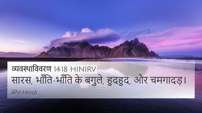 व्यवस्थाविवरण 14:18 HINIRV 4K Wallpaper - सारस, भाँति-भाँति - 4K Wallpaper Bible Verse