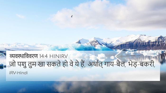 व्यवस्थाविवरण 14:4 HINIRV 4K Wallpaper - जो पशु तुम खा सकते - 4K Wallpaper Bible Verse