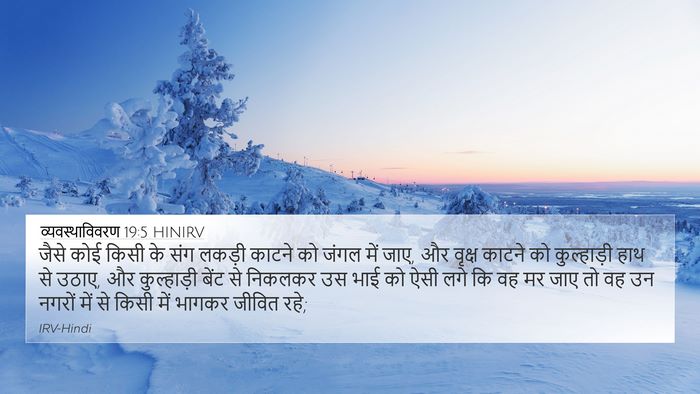 व्यवस्थाविवरण 19:5 HINIRV Bible Verse Image