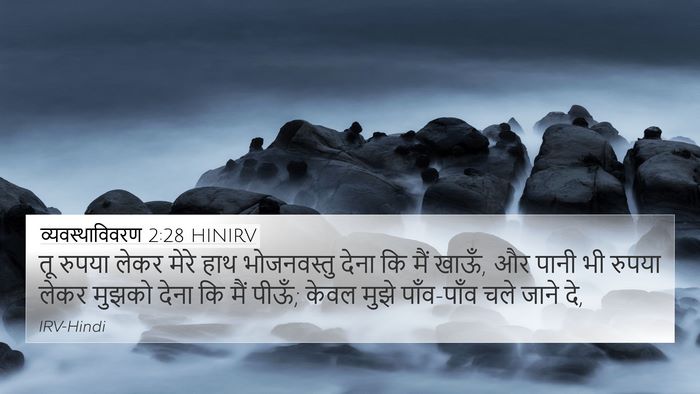 व्यवस्थाविवरण 2:28 HINIRV Bible Verse Image