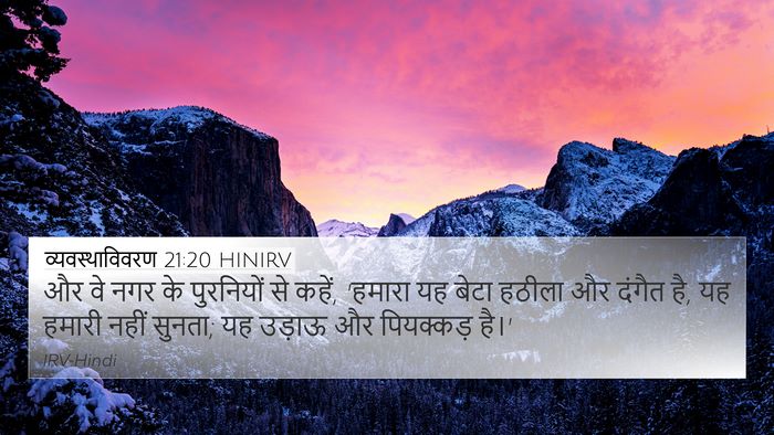 व्यवस्थाविवरण 21:20 HINIRV Bible Verse Image