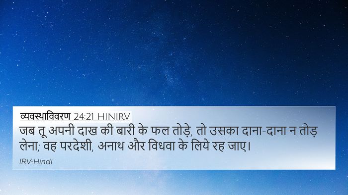 व्यवस्थाविवरण 24:21 HINIRV 4K Wallpaper - जब तू अपनी दाख की - 4K Wallpaper Bible Verse
