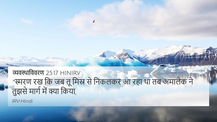 व्यवस्थाविवरण 25:17 HINIRV Bible Verse Image