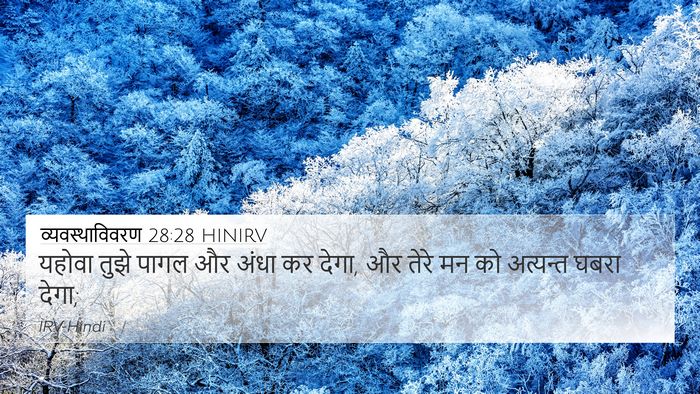 व्यवस्थाविवरण 28:28 HINIRV Bible Verse Image