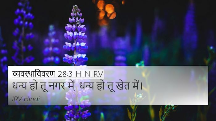 व्यवस्थाविवरण 28:3 HINIRV Bible Verse Image