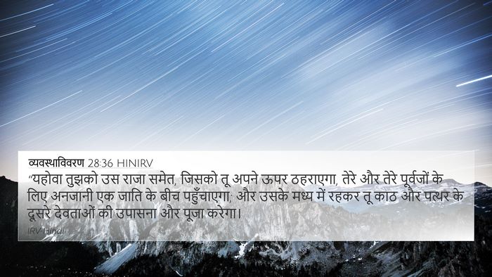 व्यवस्थाविवरण 28:36 HINIRV Bible Verse Image