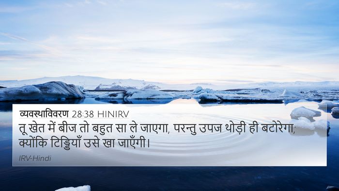 व्यवस्थाविवरण 28:38 HINIRV Bible Verse Image