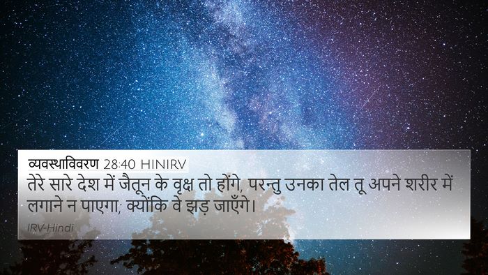 व्यवस्थाविवरण 28:40 HINIRV 4K Wallpaper - तेरे सारे देश में - 4K Wallpaper Bible Verse