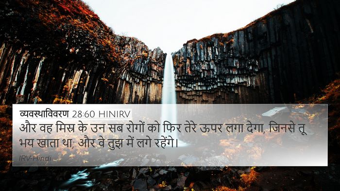 व्यवस्थाविवरण 28:60 HINIRV Bible Verse Image